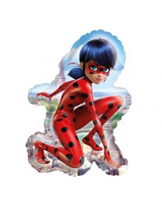 FOR (P38) LADYBUG 16/41CM X...