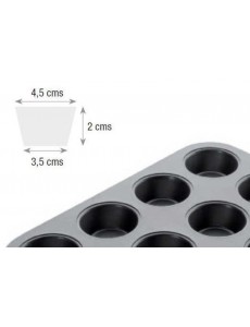 Molde 12 cavidades para... 2