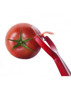 Pelatomates 15x7cm 2