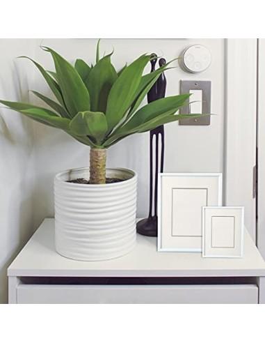 Marco de Fotos 20 x 30 cm Blanco Estilo Sencillo PVC Panel de Cristal Marco de Fotos para Decoración