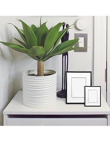 Marco de Fotos 20 x 30 cm Negro Estilo Sencillo PVC Panel de Cristal Marco de Fotos para Decoración