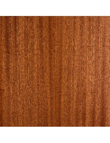 SPSIL Pintura Barniz para Madera,...