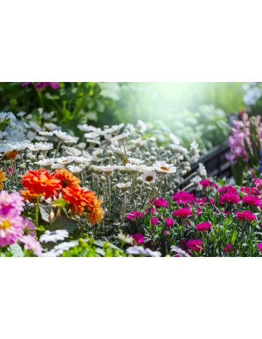 Velas de Té Aromáticas, Velas...