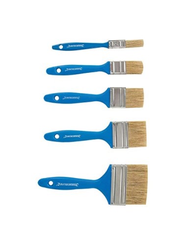 Silverline 314733 Juego de Pinceles Desechables para Pintar, 5 Unidades