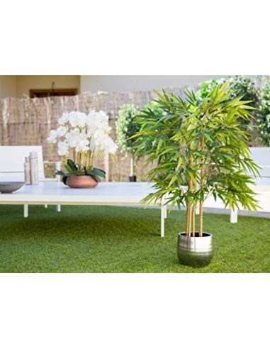 Maia Shop Bambú Cañas Naturales, Elaborados con los Mejores Materiales, Ideal para Decoración de hogar, Árbol, Planta Artific