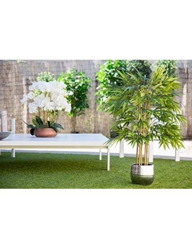 Maia Shop Bambú Cañas Naturales, Elaborados con los Mejores Materiales, Ideal para Decoración de hogar, Árbol, Planta Artific