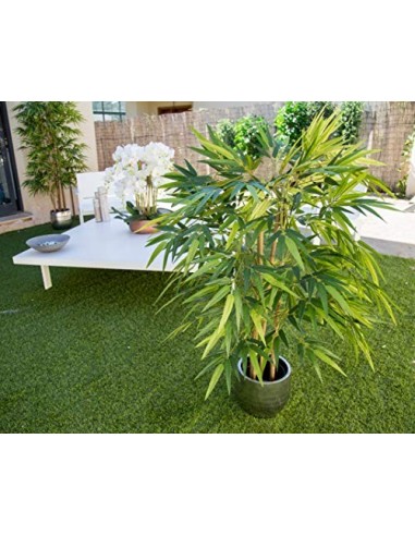 Maia Shop Bambú Cañas Naturales, Elaborados con los Mejores Materiales, Ideal para Decoración de hogar, Árbol, Planta Artific