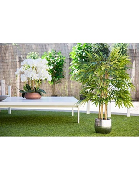 Maia Shop Bambú Cañas Naturales, Elaborados con los Mejores Materiales, Ideal para Decoración de hogar, Árbol, Planta Artific