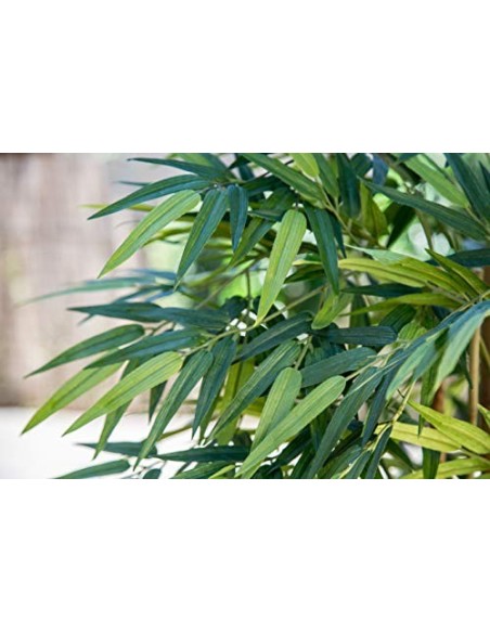 Maia Shop Bambú Cañas Naturales, Elaborados con los Mejores Materiales, Ideal para Decoración de hogar, Árbol, Planta Artific