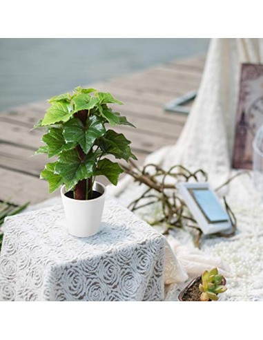 Kazeila Mini Plantas Artificiales de Interior en macetas, Planta de plástico Falso de 24 cm para decoración de casa / Oficina