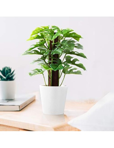 Kazeila Mini Plantas Artificiales de Interior en macetas, Planta de plástico Falso de 24 cm para decoración de casa / Oficina