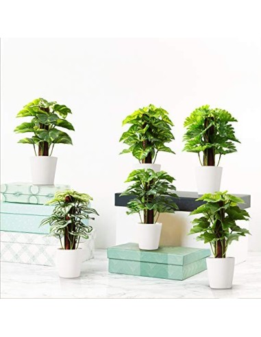 Kazeila Mini Plantas Artificiales de Interior en macetas, Planta de plástico Falso de 24 cm para decoración de casa / Oficina