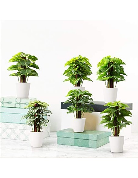 Kazeila Mini Plantas Artificiales de Interior en macetas, Planta de plástico Falso de 24 cm para decoración de casa / Oficina