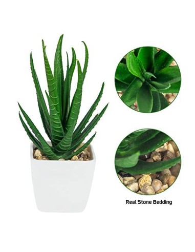 Ouddy 6 Piezas de Plantas Suculentas Artificiales en Macetas, Plantas Suculentas Artificiales Verdes, Utilizadas para Escrito