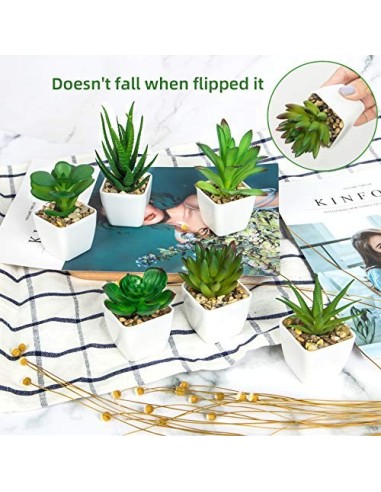 Ouddy 6 Piezas de Plantas Suculentas Artificiales en Macetas, Plantas Suculentas Artificiales Verdes, Utilizadas para Escrito