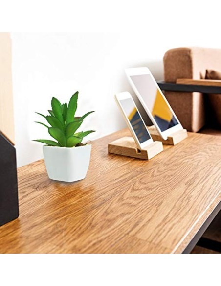 Ouddy 6 Piezas de Plantas Suculentas Artificiales en Macetas, Plantas Suculentas Artificiales Verdes, Utilizadas para Escrito