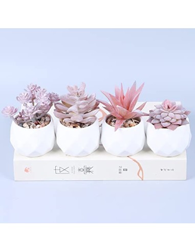 Baixtuo 4 Piezas Plantas Artificiales Plantas Suculentas Falsas,Plantas Artificiales Pequeñas Bonito y Suculento Verde, para 