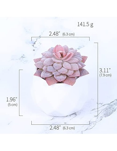 Baixtuo 4 Piezas Plantas Artificiales Plantas Suculentas Falsas,Plantas Artificiales Pequeñas Bonito y Suculento Verde, para 