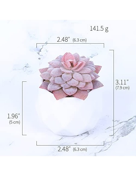 Baixtuo 4 Piezas Plantas Artificiales Plantas Suculentas Falsas,Plantas Artificiales Pequeñas Bonito y Suculento Verde, para 