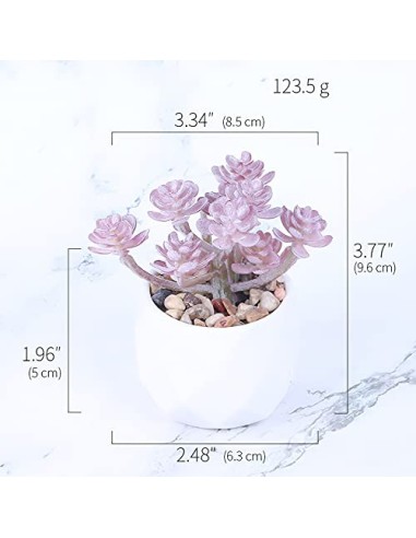 Baixtuo 4 Piezas Plantas Artificiales Plantas Suculentas Falsas,Plantas Artificiales Pequeñas Bonito y Suculento Verde, para 