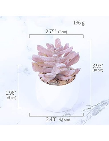 Baixtuo 4 Piezas Plantas Artificiales Plantas Suculentas Falsas,Plantas Artificiales Pequeñas Bonito y Suculento Verde, para 