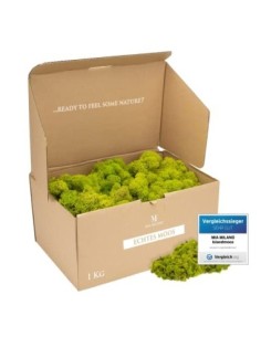 Mia Milano Musgo Decorativo preservado para artesanía I Musgo Natural Duradero de Islandia para Cuadros de Musgo I Hoja de Mu