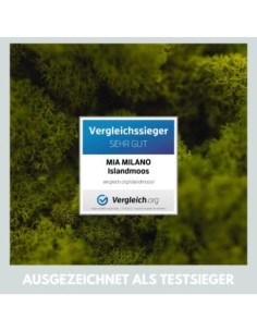 Mia Milano Musgo Decorativo preservado para artesanía I Musgo Natural Duradero de Islandia para Cuadros de Musgo I Hoja de Mu 2