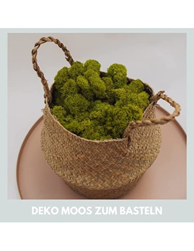 Mia Milano Musgo Decorativo preservado para artesanía I Musgo Natural Duradero de Islandia para Cuadros de Musgo I Hoja de Mu