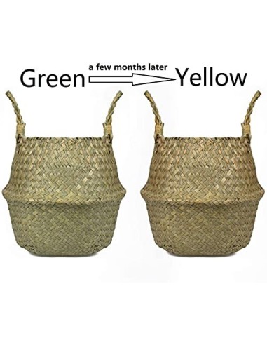 Lawei 2 Piezas Seagrass cesta de cesteria de mimbre plegable colgante maceta Cesta de Almacenamiento de Flor Cesta de Lavande