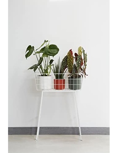 elho B.for Soft Round Maceta Redonda, Blanco, 14 cm