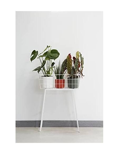 elho B.for Soft Round Maceta Redonda, Blanco, 14 cm