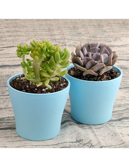 KINGLAKE 8 Piezas de macetero de plástico Azul de 4 Pulgadas, Adecuado para Interiores u oficinas, con Bandeja / Bandeja, plá