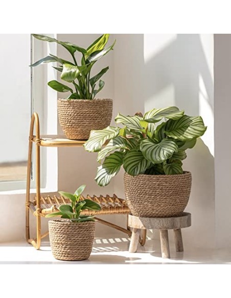 La Jolíe Muse Cesta de Plantas de Hierba Marina en el Interior y en el Exterior, Cubierta de Macetas, Contenedores de Plantas