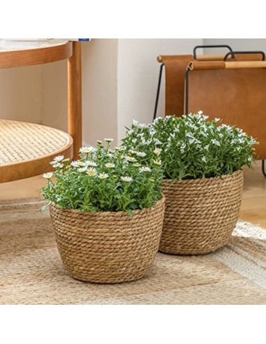 La Jolíe Muse Cesta de Plantas de Hierba Marina en el Interior y en el Exterior, Cubierta de Macetas, Contenedores de Plantas