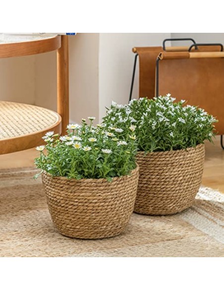 La Jolíe Muse Cesta de Plantas de Hierba Marina en el Interior y en el Exterior, Cubierta de Macetas, Contenedores de Plantas