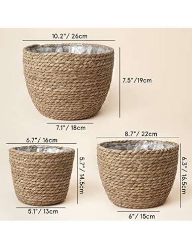 La Jolíe Muse Cesta de Plantas de Hierba Marina en el Interior y en el Exterior, Cubierta de Macetas, Contenedores de Plantas