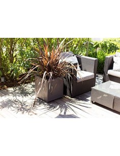 EDA Volcania Up - Maceta, color gris antracita, 29.5 cm 2