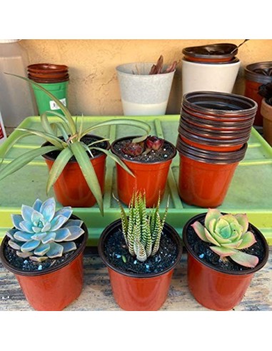 Macetas de Plástico Pequeña, Mengxin 50 Piezas Mini Macetas Semillero con 100 Piezas Etiquetas Plantas Macetas de Vivero de P