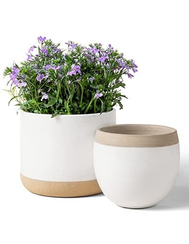 Macetas de Cerámica Blanca para Plantas - Maceteros de Interior de 16.5 + 12.4 cm, Macetas para Plantas con Detalles Beige y 