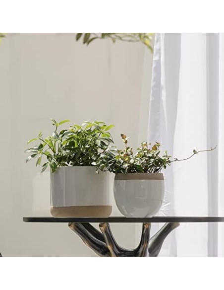Macetas de Cerámica Blanca para Plantas - Maceteros de Interior de 16.5 + 12.4 cm, Macetas para Plantas con Detalles Beige y 