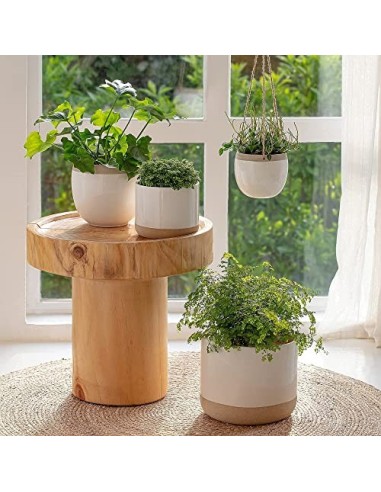 Macetas de Cerámica Blanca para Plantas - Maceteros de Interior de 16.5 + 12.4 cm, Macetas para Plantas con Detalles Beige y 