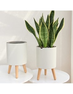 Lagita macetas con Soporte Maceta autorriego Interior,macetas Decorativas Interior, maceteros elevados - 1 Pieza Blanc 2