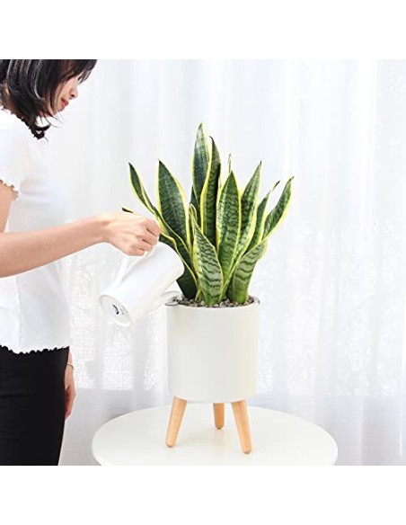 Lagita macetas con Soporte Maceta autorriego Interior,macetas Decorativas Interior, maceteros elevados - 1 Pieza Blanc