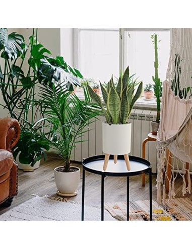 Lagita macetas con Soporte Maceta autorriego Interior,macetas Decorativas Interior, maceteros elevados - 1 Pieza Blanc