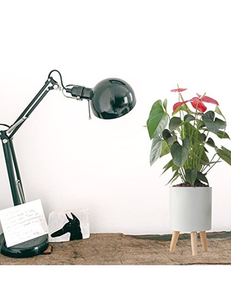 Lagita macetas con Soporte Maceta autorriego Interior,macetas Decorativas Interior, maceteros elevados - 1 Pieza Blanc