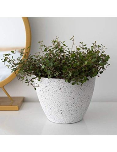 La Jolíe Muse Macetas Interior y Exterior, Juego de Maceta de Flores, macetas con Agujeros de Drenaje, Blanco Moteado, 19 CM,