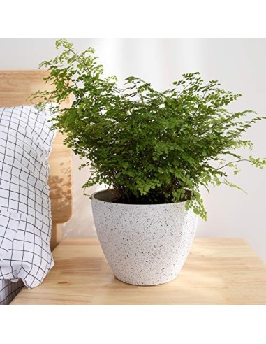 La Jolíe Muse Macetas Interior y Exterior, Juego de Maceta de Flores, macetas con Agujeros de Drenaje, Blanco Moteado, 19 CM,