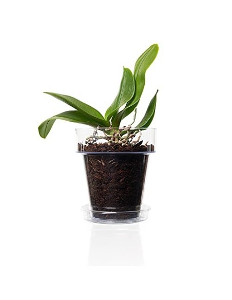 Kalapanta Maceta de plástico Transparente para orquídeas con Agujeros de Drenaje y platillo  1, Ø 14 cm 