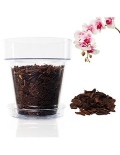 Kalapanta Kit para Trasplantar Orquídeas: 1 Maceta Transparente Ø14cm con Agujeros de Drenaje, 1 Plato Ø12cm, 1 Saco de 2L de