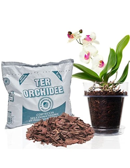 Kalapanta Kit para Trasplantar Orquídeas: 1 Maceta Transparente Ø14cm con Agujeros de Drenaje, 1 Plato Ø12cm, 1 Saco de 2L de